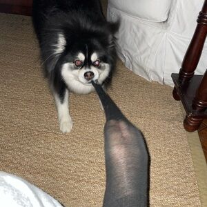 UNLISTED SHOW ITEM 27